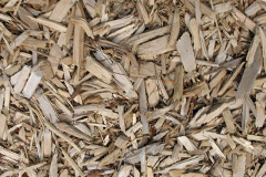 biomass boilers Glatton